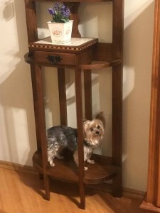 img-20220423-wa0035-1651000983